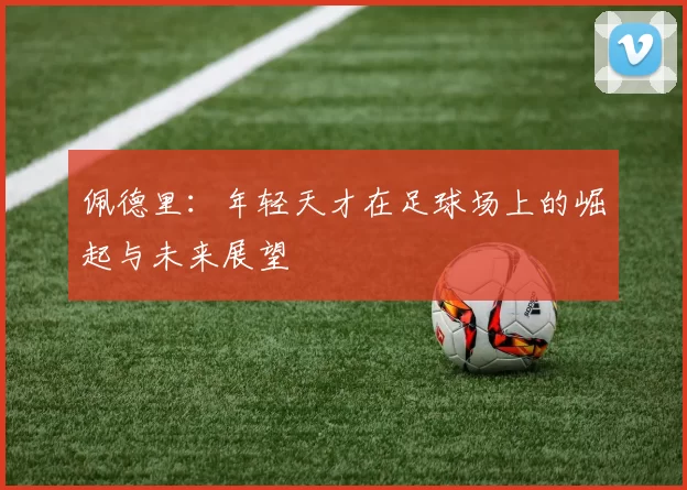 佩德里：年轻天才在足球场上的崛起与未来展望