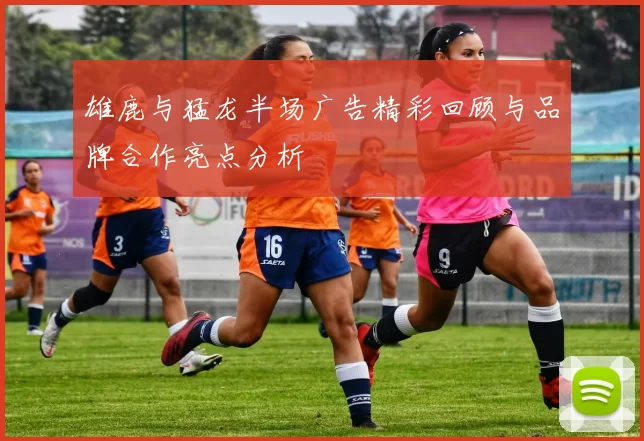 雄鹿与猛龙半场广告精彩回顾与品牌合作亮点分析