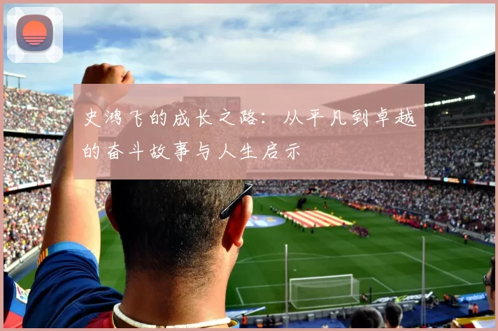 史鸿飞的成长之路：从平凡到卓越的奋斗故事与人生启示