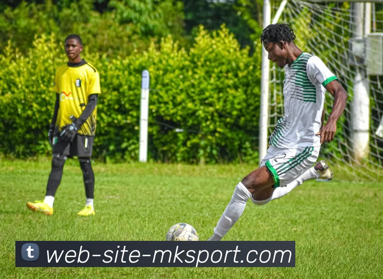 App Interface Preview