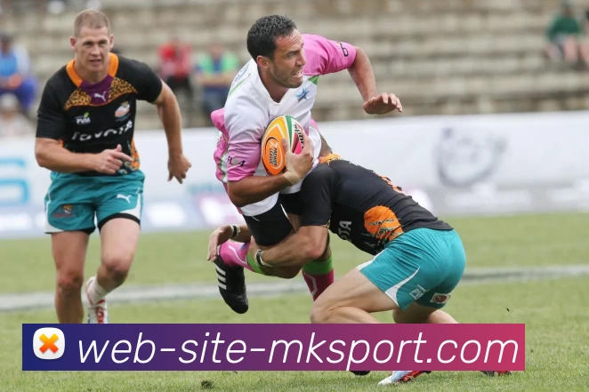 MK体育APP 封面图